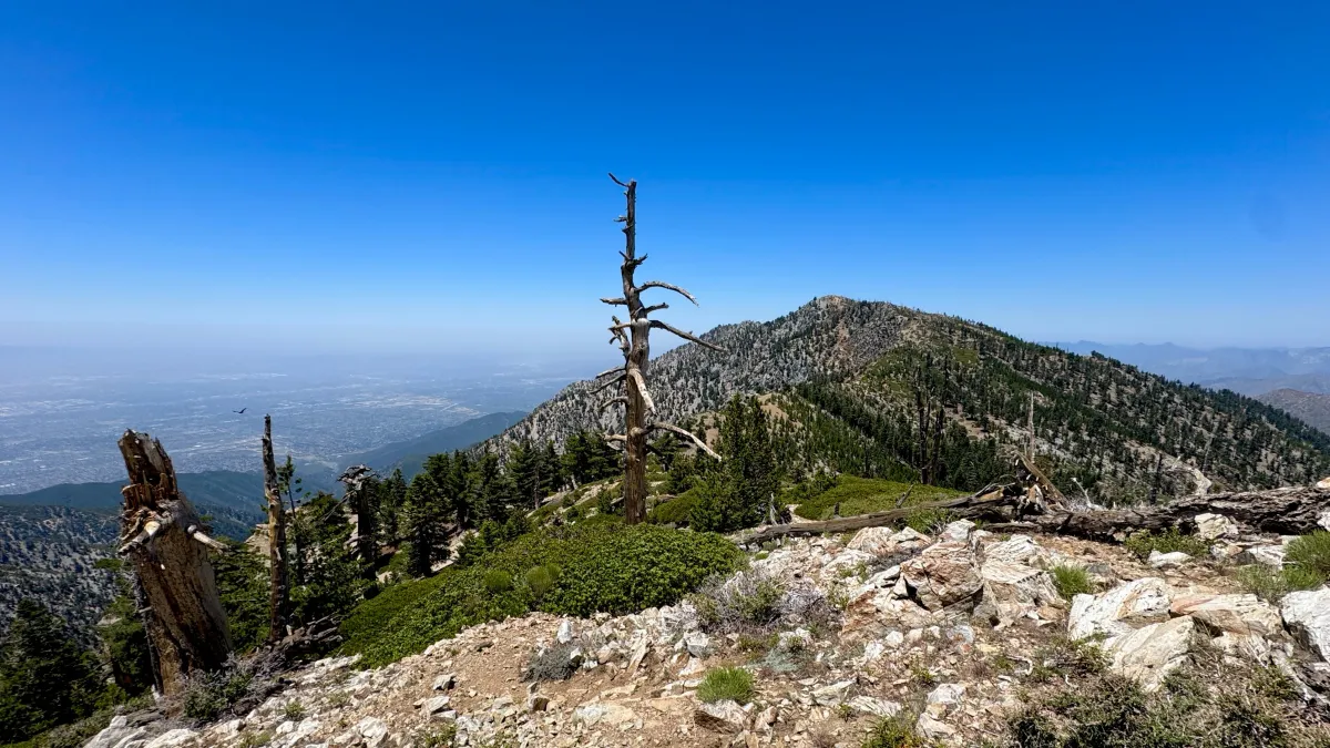 CBT - Cucamonga, Big Horn & Timber, 23 November | Event in Mt Baldy | AllEvents