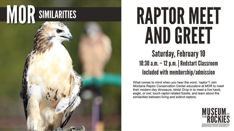 Raptor Meet and Greet, Museum of the Rockies, Bozeman, 10 February 2024 ...