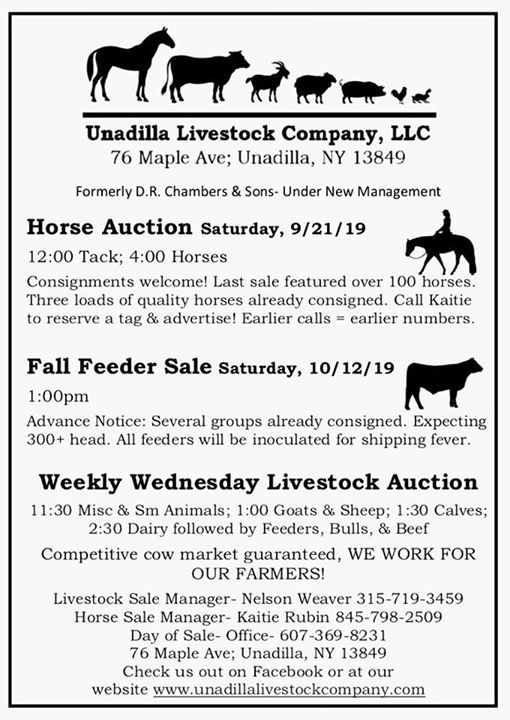 Unadilla Livestock Company Horse Tack Auction 9 21 19 Unadilla