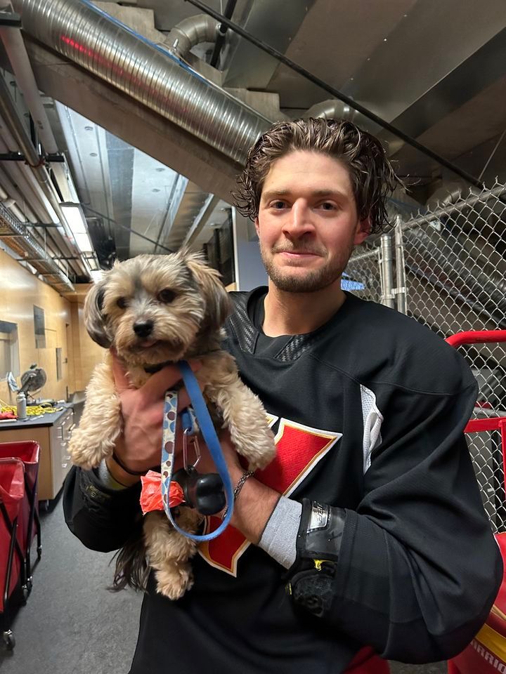 Four Feet Companion Foundation s Pucks For Paws Scotiabank Saddledome four-feet-companion-foundation-s-pucks-for-paws-scotiabank-saddledome
