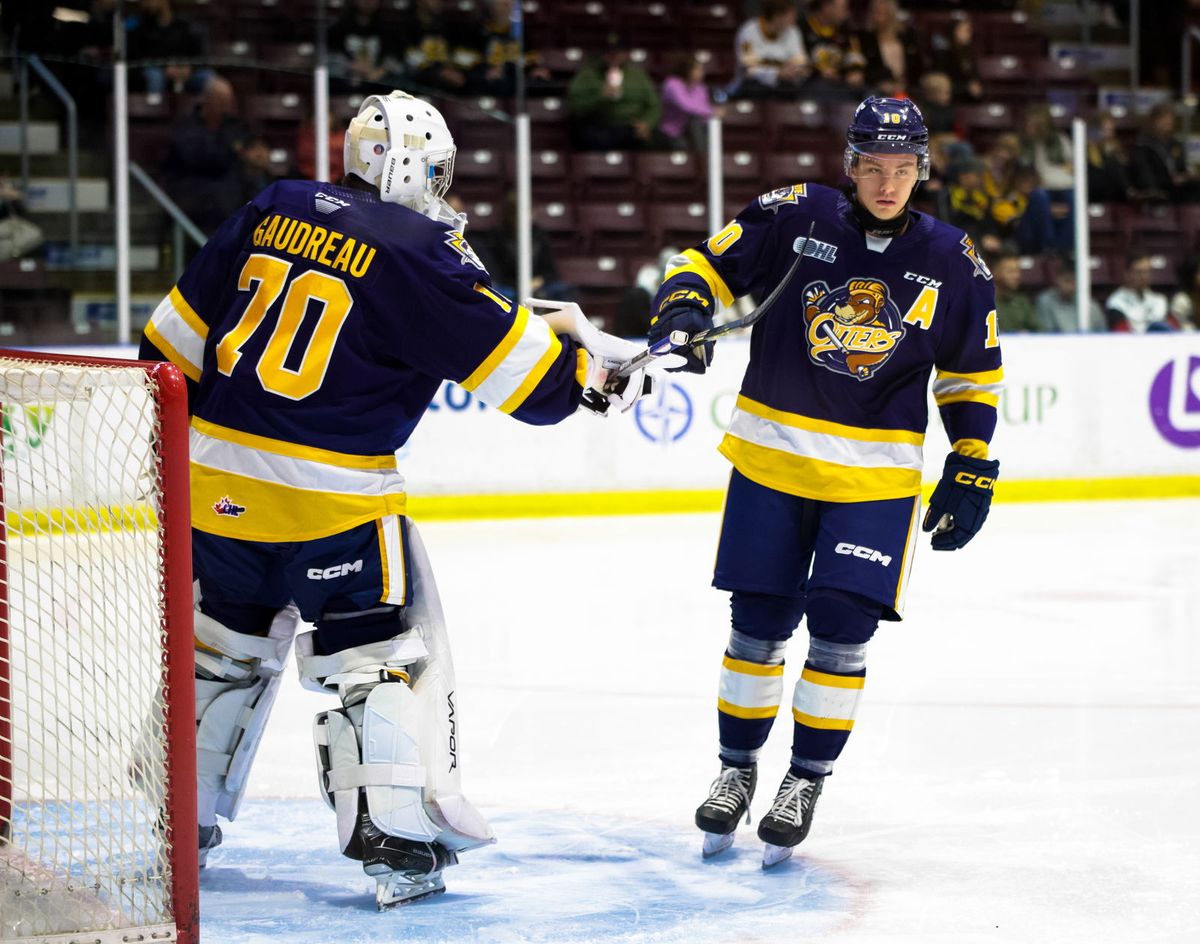 Owen Sound Attack vs. Erie Otters, 1 November | Event in Owen Sound | AllEvents