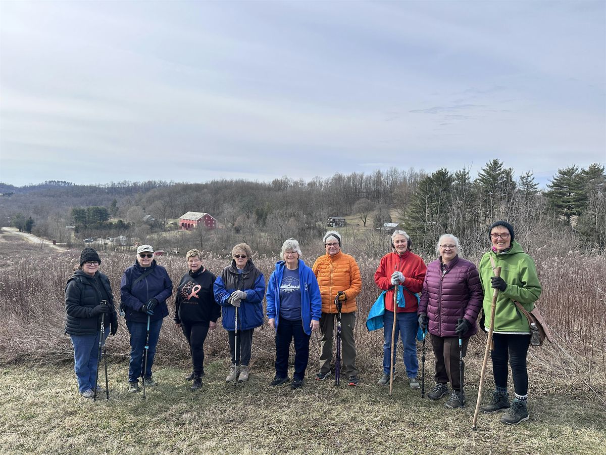 2026 Winter Walkabout - February, 3 February | Event in Dover | AllEvents