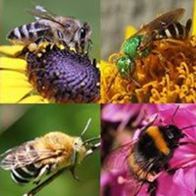 UNL Bee Lab