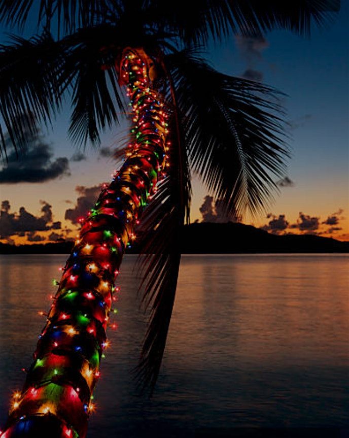 A Caribbean Christmas Carol adapted and  directed by Jacqueline Wade | Event in Chicago | AllEvents