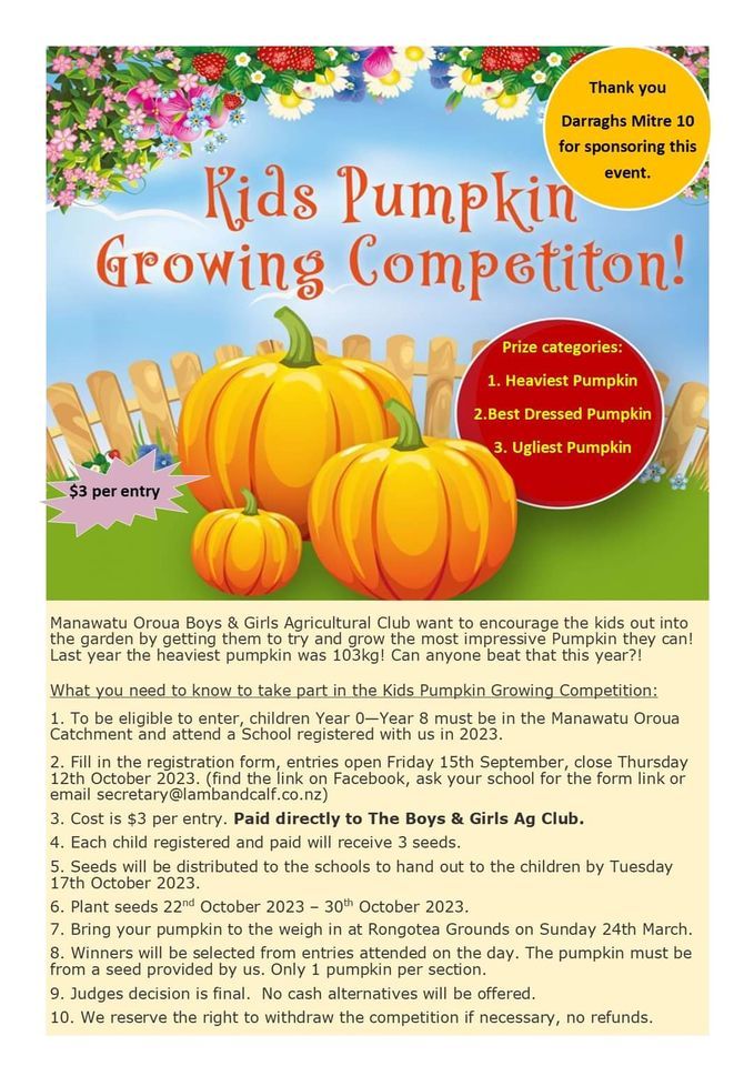 Kids Pumpkin Growing Competition, Te Kawau Grounds, Wye Street ...