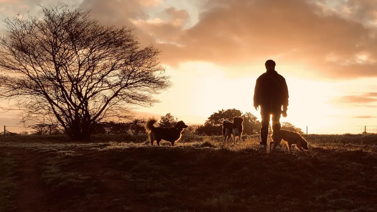 The Wanderer  in Horst, 9 May | Event in Horst | AllEvents