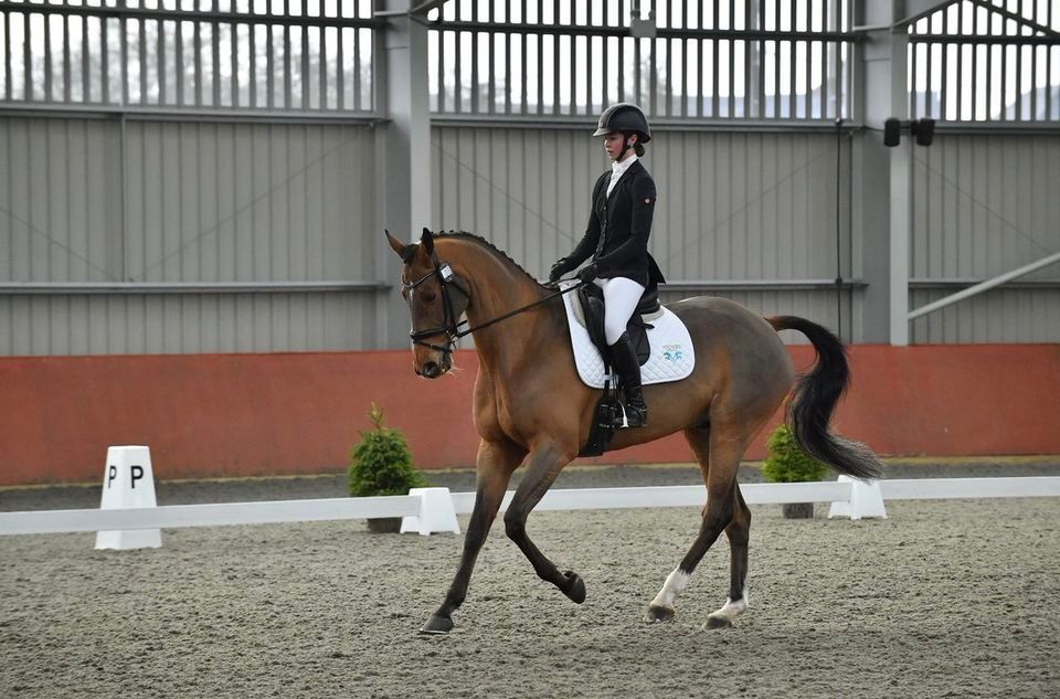 British Dressage Prelim Advanced Medium., Newbold Verdon Equestrian Centre, Enderby, March