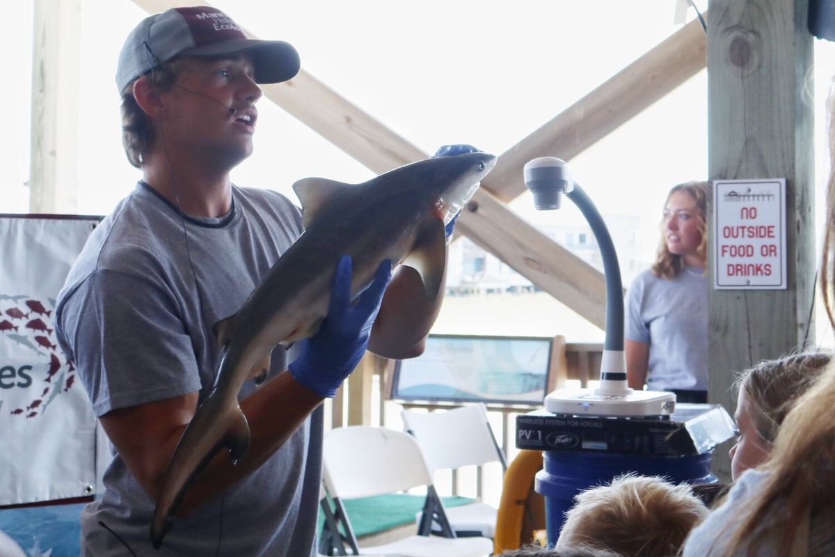 Shark Presentation and Dissection at McMenamins Crystal Ballroom, 15 July | Event in Portland | AllEvents