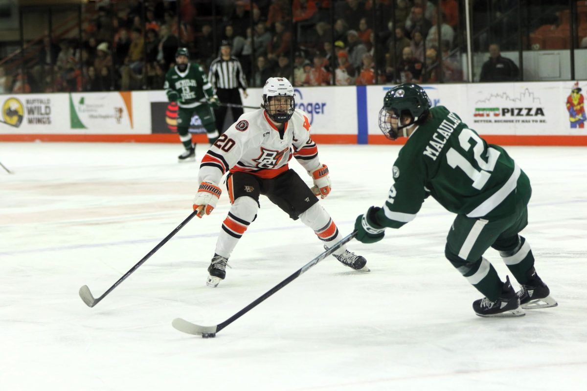Bowling Green State Falcons at Bemidji State Beavers Mens Hockey, 25 January | Event in Bemidji | AllEvents