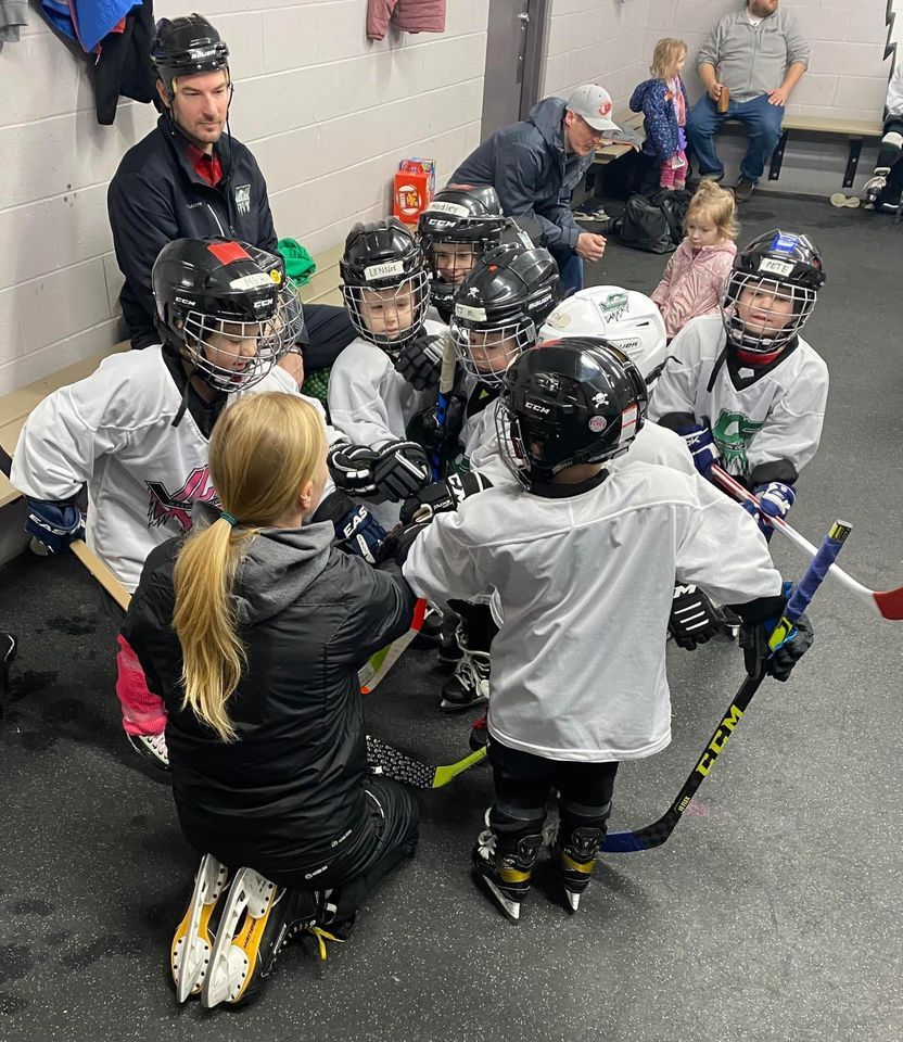Try Hockey for Free, Kettle Moraine Ice Center, West Bend, 4 April 2024 AllEvents.in