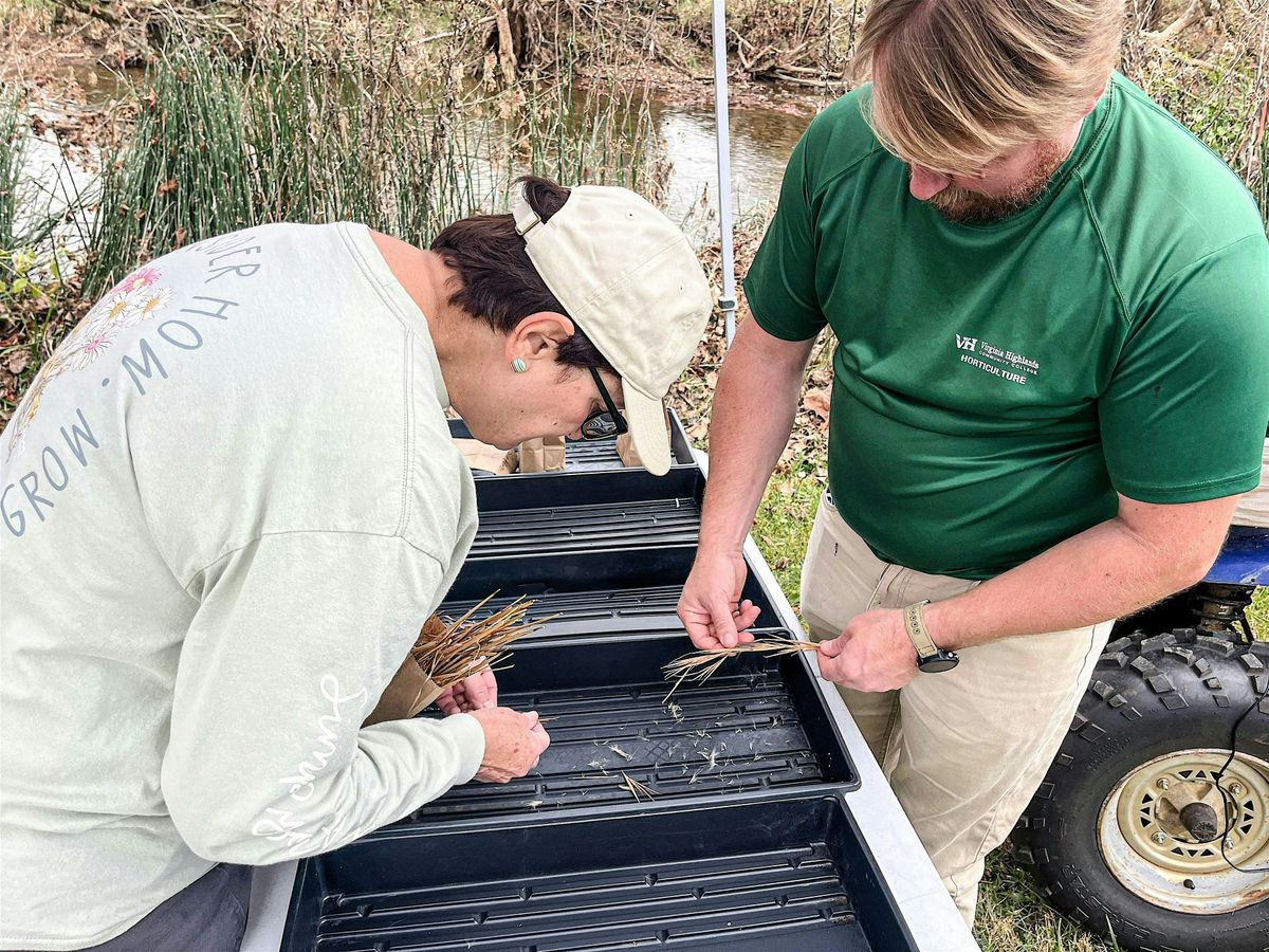 Native Seed Processing with VHCC