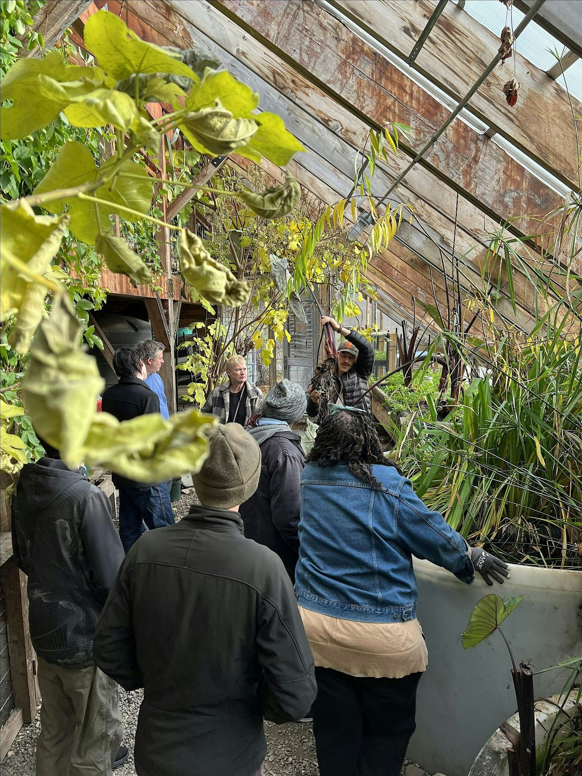 Tropical Plant Care and Bookclub