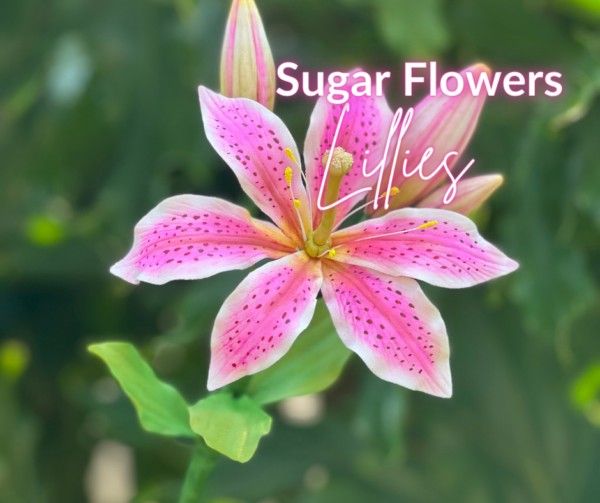Sugar Flowers Class Lilies and Leaves, Sugar Craft Supplies 4U