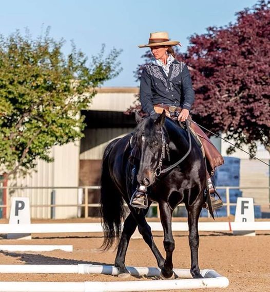 Cowboy Dressage Full Day Clinic Phoenix Apache Junction