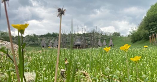 Ozora Festival 2022 Ozora Festival Official Siofok August 1 To August 7 Allevents In Prairie Festival 2022