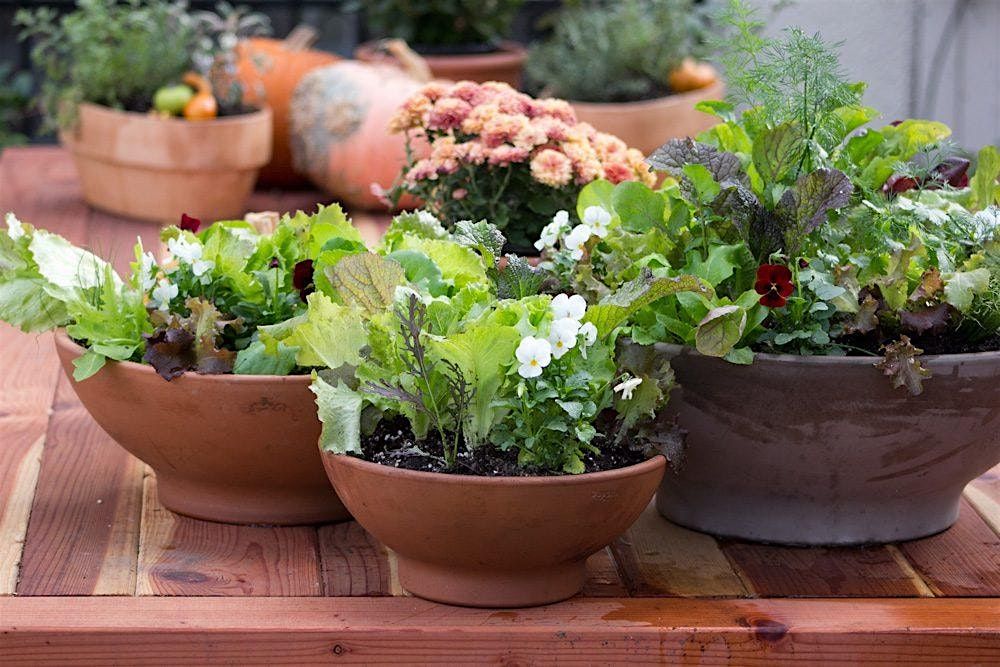 Salad Bowl Workshop, 17 December | Event in Leland | AllEvents