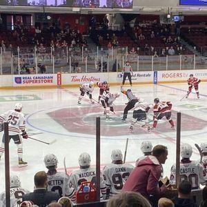 Niagara IceDogs at Ottawa 67s at TD Place