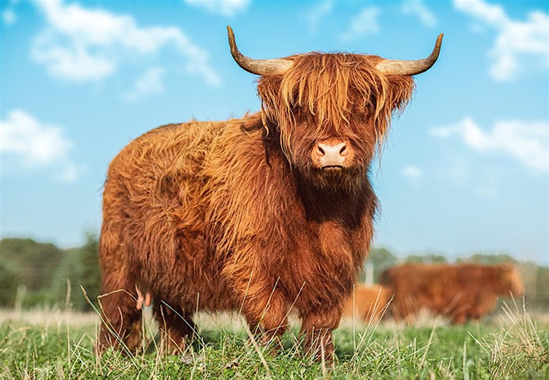 Norfolk Netwalking @ Taverham Mill