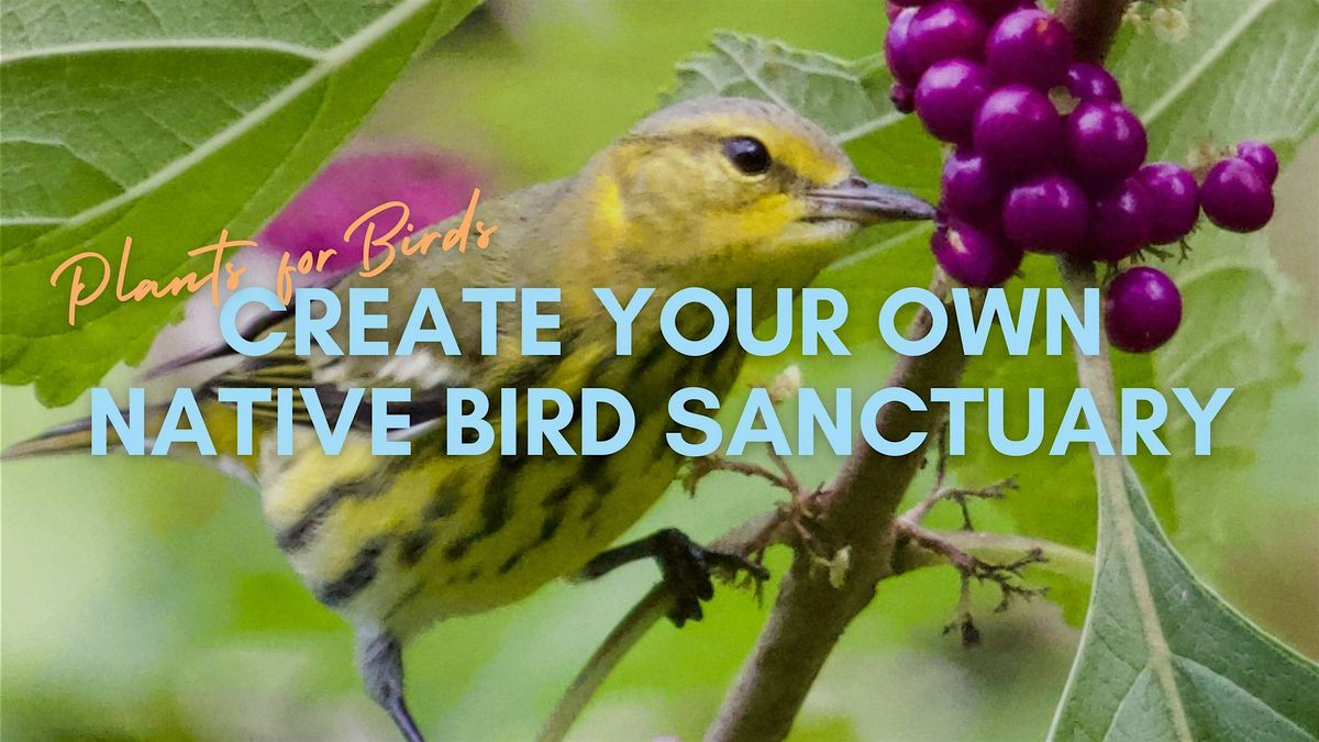 Plants for Birds: Create Your Own Bird Sanctuary Series, 3 January | Event in Jupiter | AllEvents
