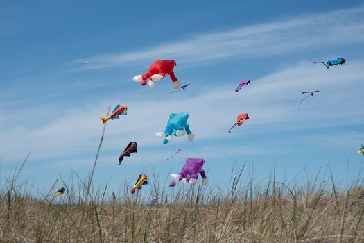 Events In Ocean Shores In May 2021 2022 Ocean Shores Events