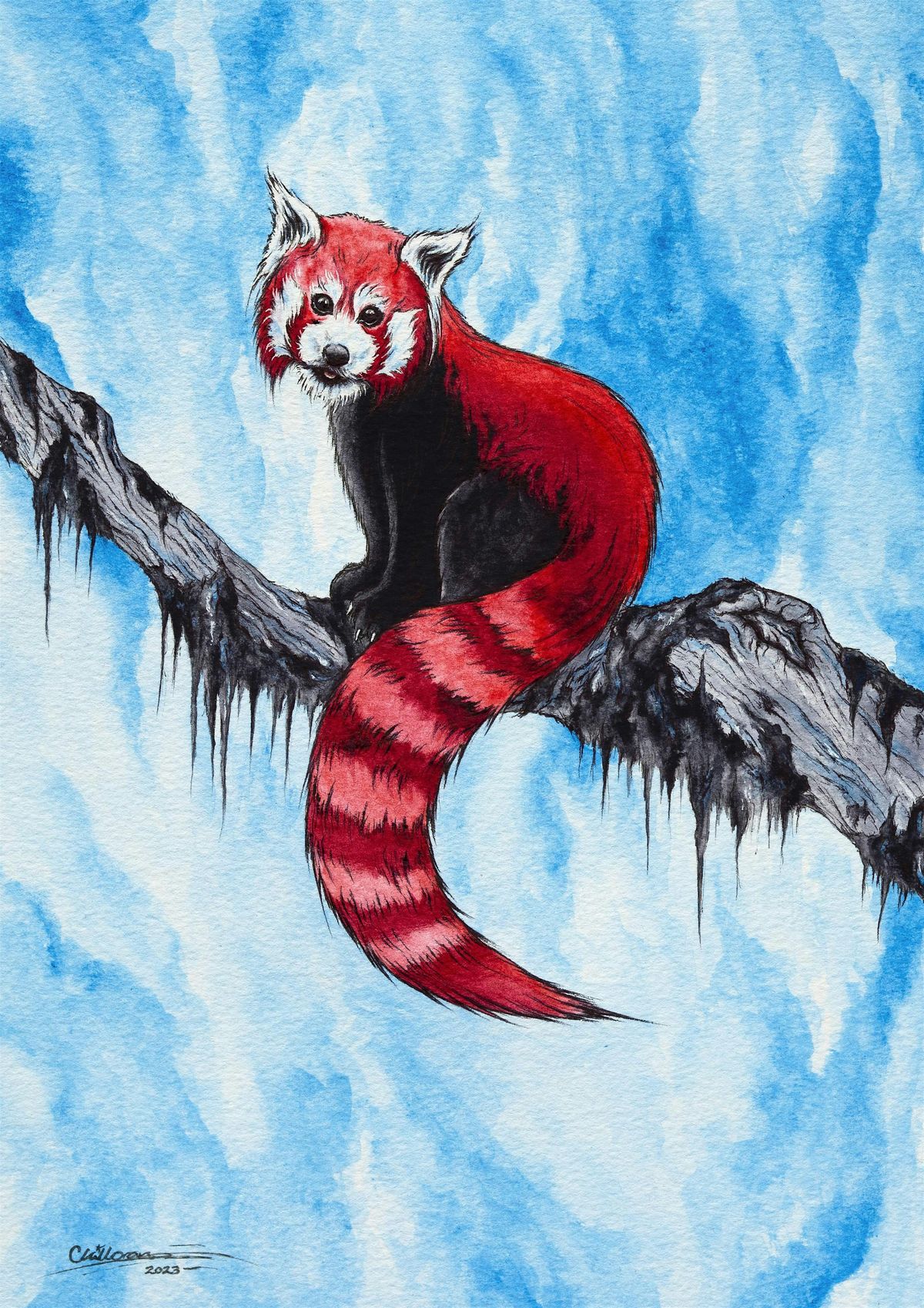 Red Pandas in Watercolour: Workshop with Chad Killoran, 15 January | Event in Leighton Buzzard | AllEvents