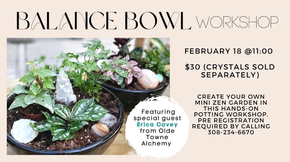 Balance Bowl with special guest Erica Covey, Steinbrink