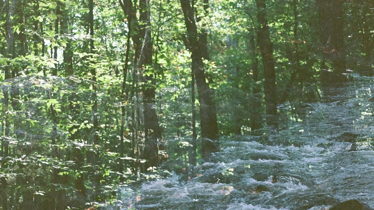 Half Moon Run, Field Guide in Halifax, 5 August | Event in Halifax | AllEvents