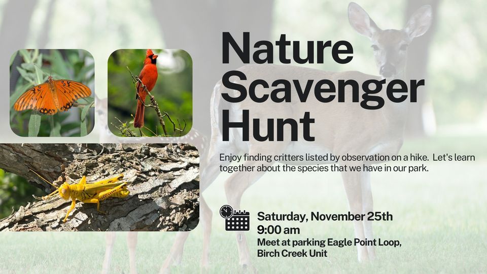 Scavenger Hunt , Lake Somerville Birch Creek State Park Texas Parks