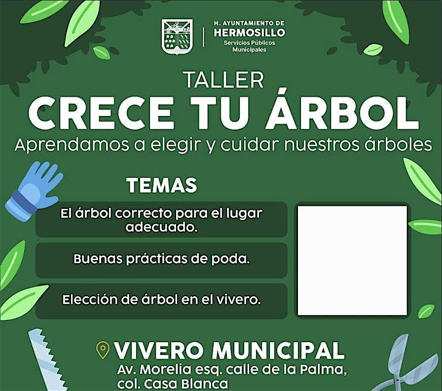 Taller CRECE TU ÁRBOL (NIVEL AVANZADO), 29 November | Event in Hermosillo | AllEvents
