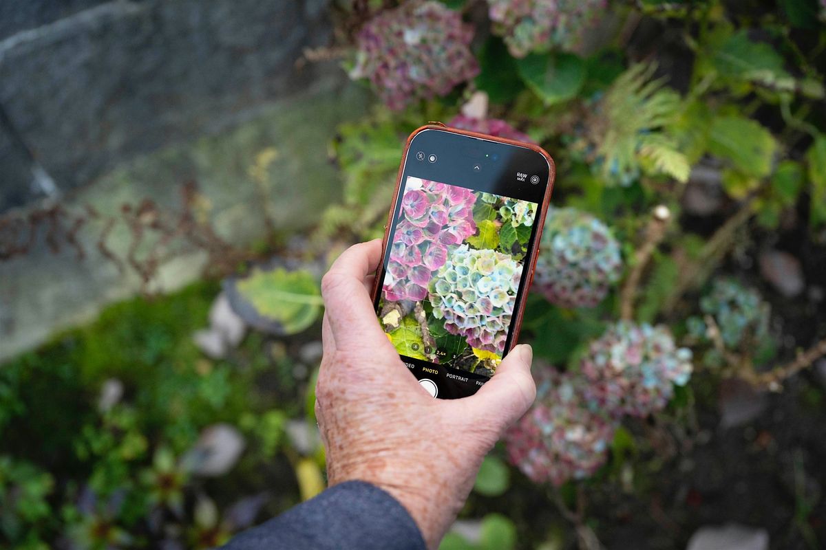 Take better photos with your phone, 24 January | Event in Vancouver | AllEvents