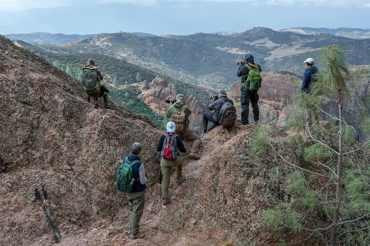 Landscape & Wildlife Photography at Pinnacles National Park