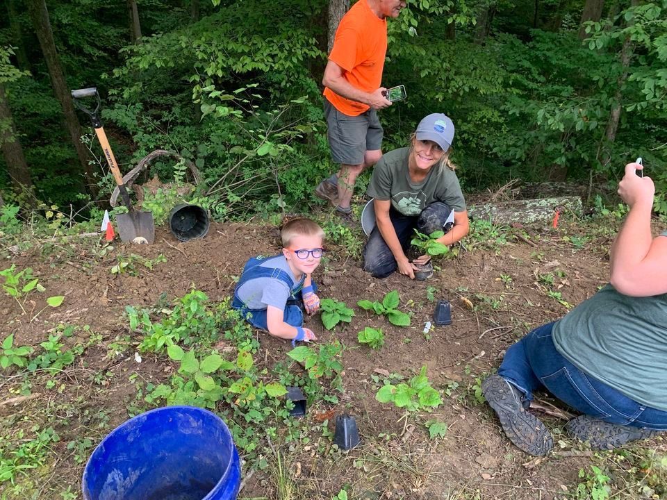 Planting Techniques How to Create a Wildflower Area, 4006 Pioneer