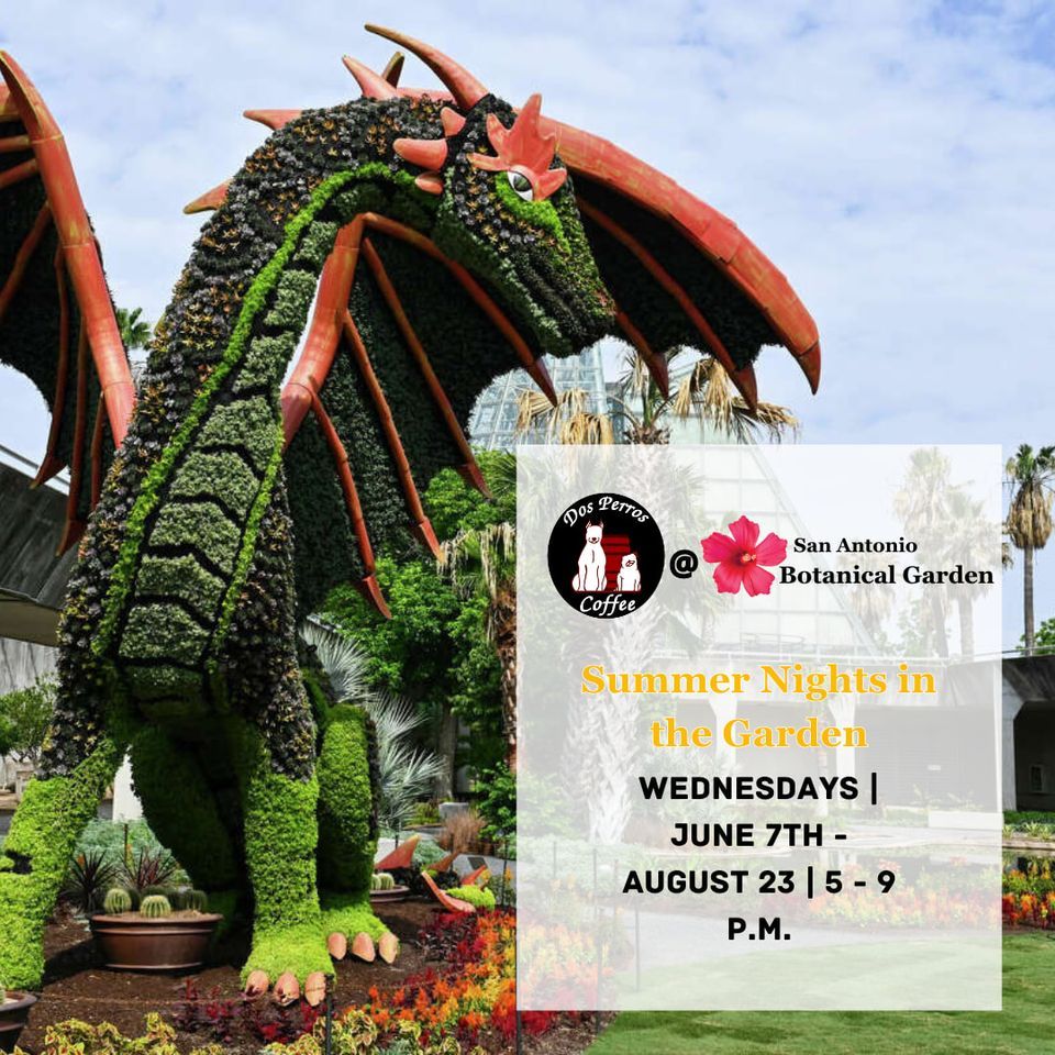 Summer Nights in the Garden - San Antonio Botanical Garden, San Antonio ...