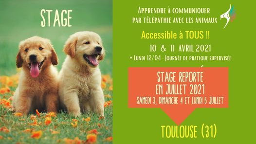 Stage Dinitiation A La Communication Animale Toulouse Poitiers April 10 To April 11 Allevents In Stage Dinitiation A La Communication Animale Toulouse Poitiers April 10 To April 11 Allevents In