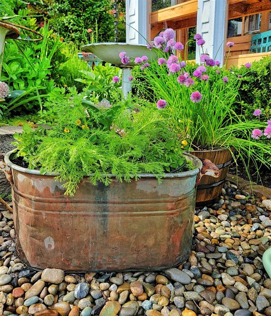 Container Gardening, 2 May | Event in Sparks | AllEvents