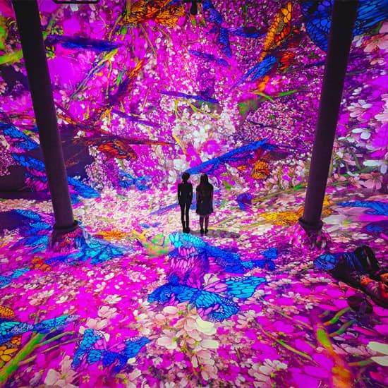 ARTECHOUSE Presents: Blooming Wonders, 14 August | Event in Hoboken | AllEvents