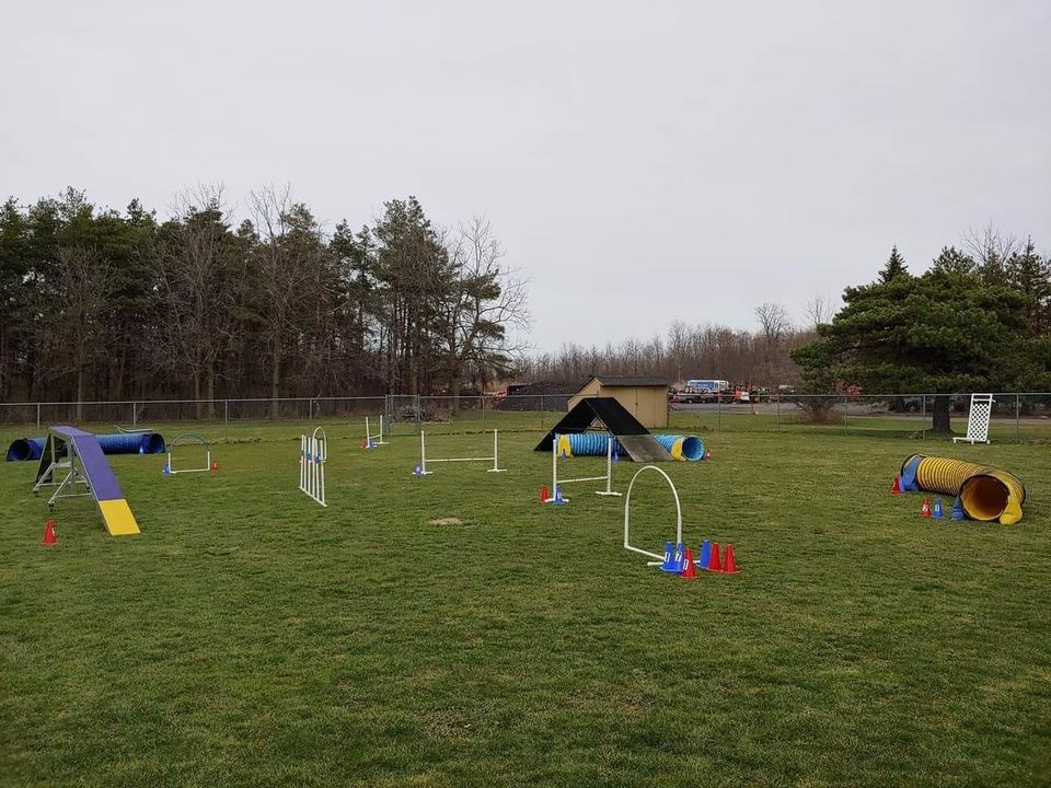 FOUR SEASONS AGILITY AUGUST NADAC TRIAL, Akron Animal Hospital, August 25 to August 27 FOUR SEASONS AGILITY AUGUST NADAC TRIAL, Akron Animal Hospital, August 25 to August 27