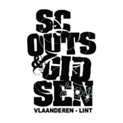 Scouts Lint