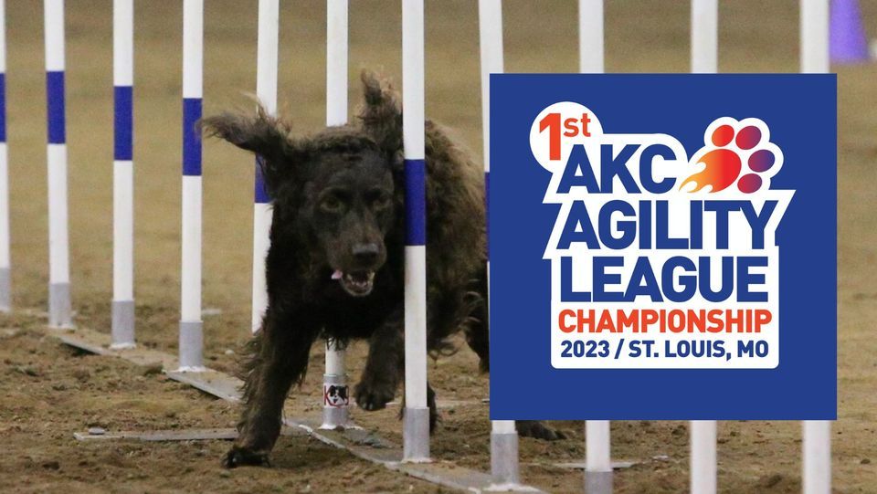 AKC Agility League National Championship, Purina Farms, Gray Summit, September 2 2023 | AllEvents.in | Online Event akc-agility-league-national-championship-purina-farms-gray-summit-september-2-2023-allevents-in-online-event