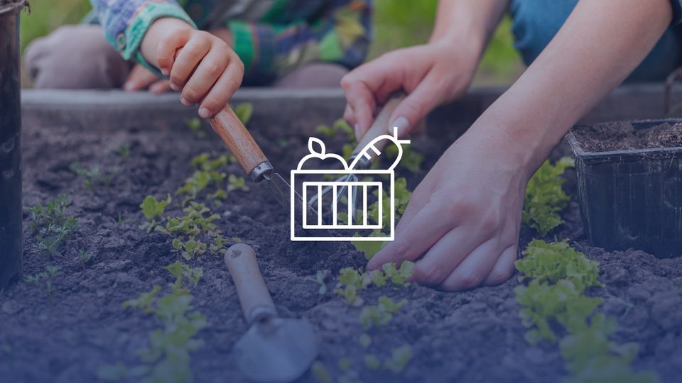 Introduction to Modern Homesteading 402 Ava Rd, Murphysboro