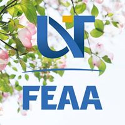 FEAA Timişoara