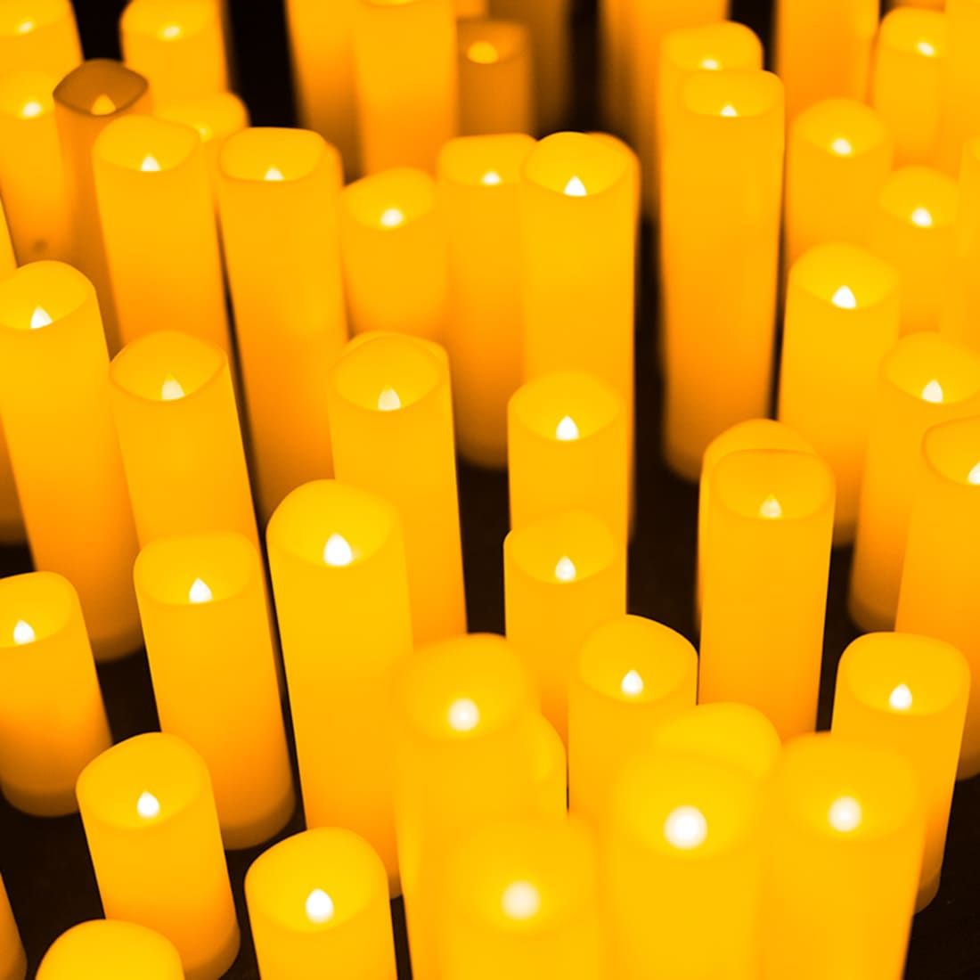 Candlelight Open Air: Tribute to Queen and The Beatles, 23 January | Event in Phoenix | AllEvents