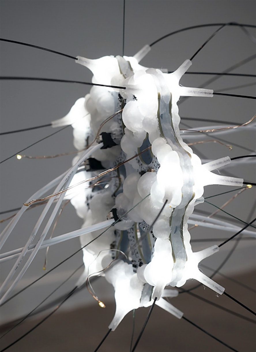 Free Inclusive Family Program - January 11, 10:30am-12:30pm, 11 January | Event in Bronx | AllEvents