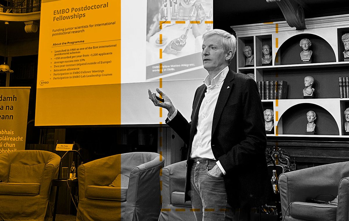 Couch (21+), 15 December | Event in Seattle | AllEvents