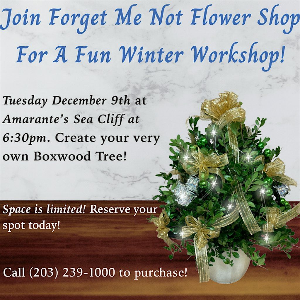 Winter Boxwood Tree Workshop at Amarante’s – Limited Spots!, 9 December | Event in New Haven | AllEvents