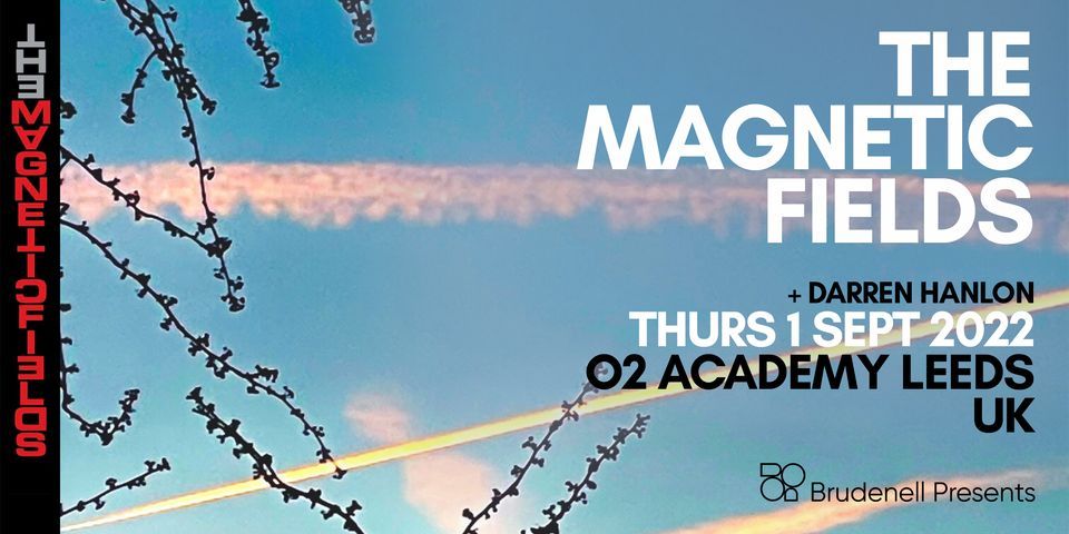 The Magnetic Fields, Live in Leeds