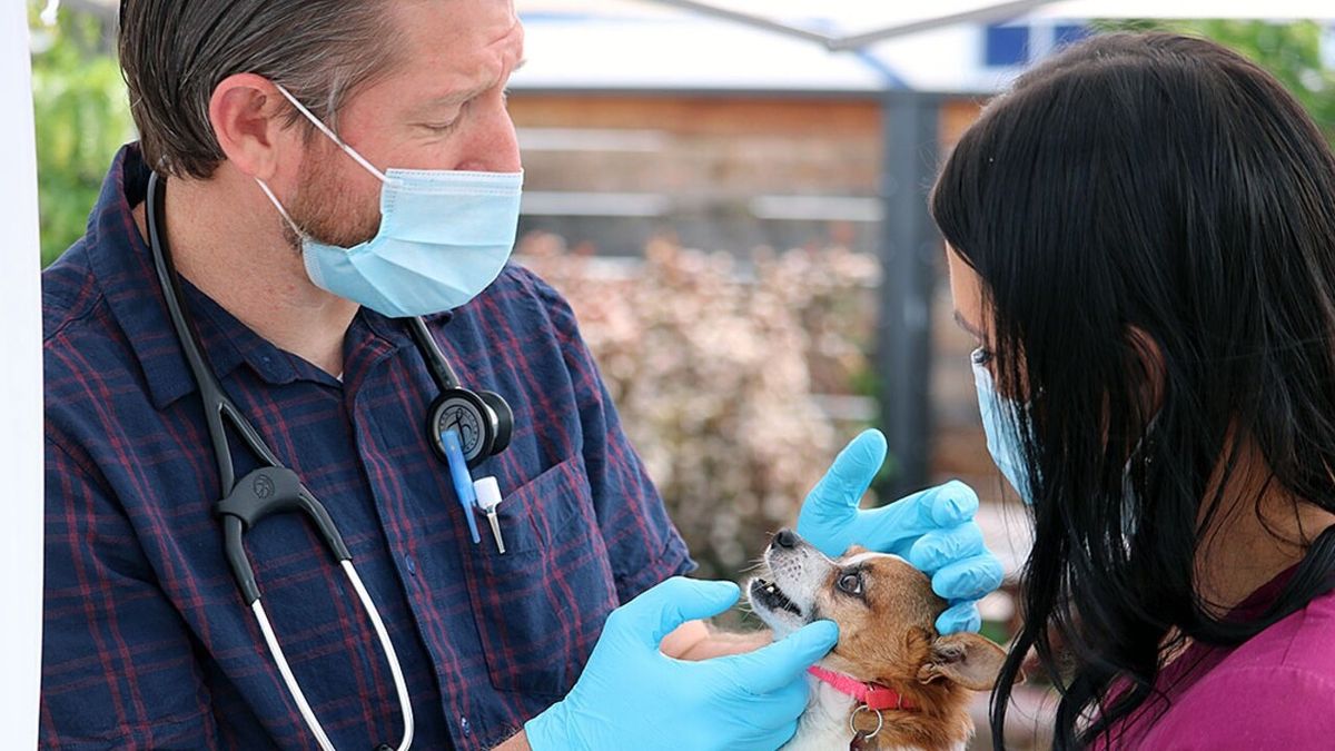 Joseph's POV at Ritz Theatre - Jacksonville, 13 December | Event in Jacksonville | AllEvents