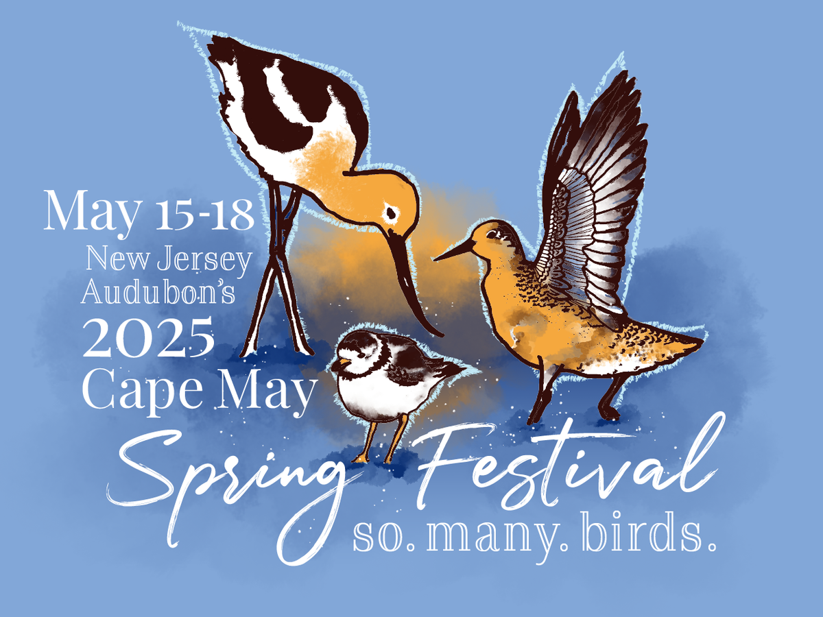 SPRINGFEST 2025, 1 April | Event in Toronto, ON | AllEvents