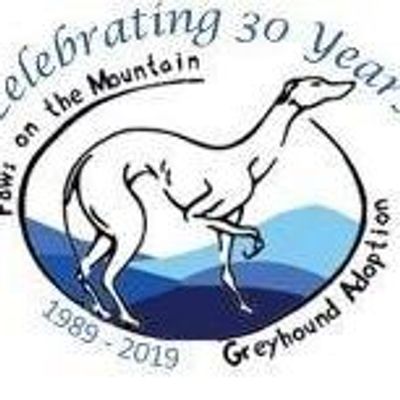paws on the mountain greyhound adoption