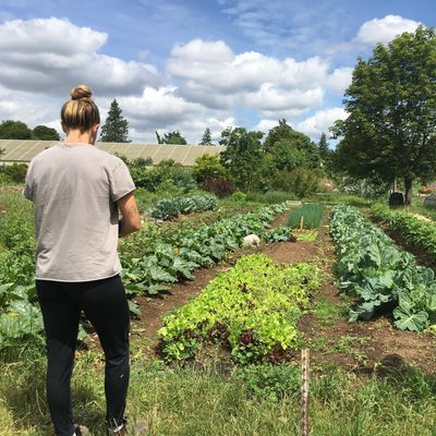 Learning Gardens Laboratory